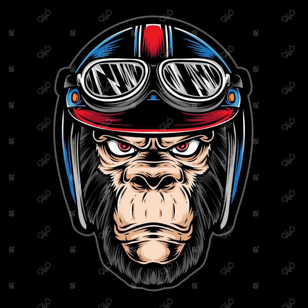 میمونی با کلاه ایمنی موتورسواری