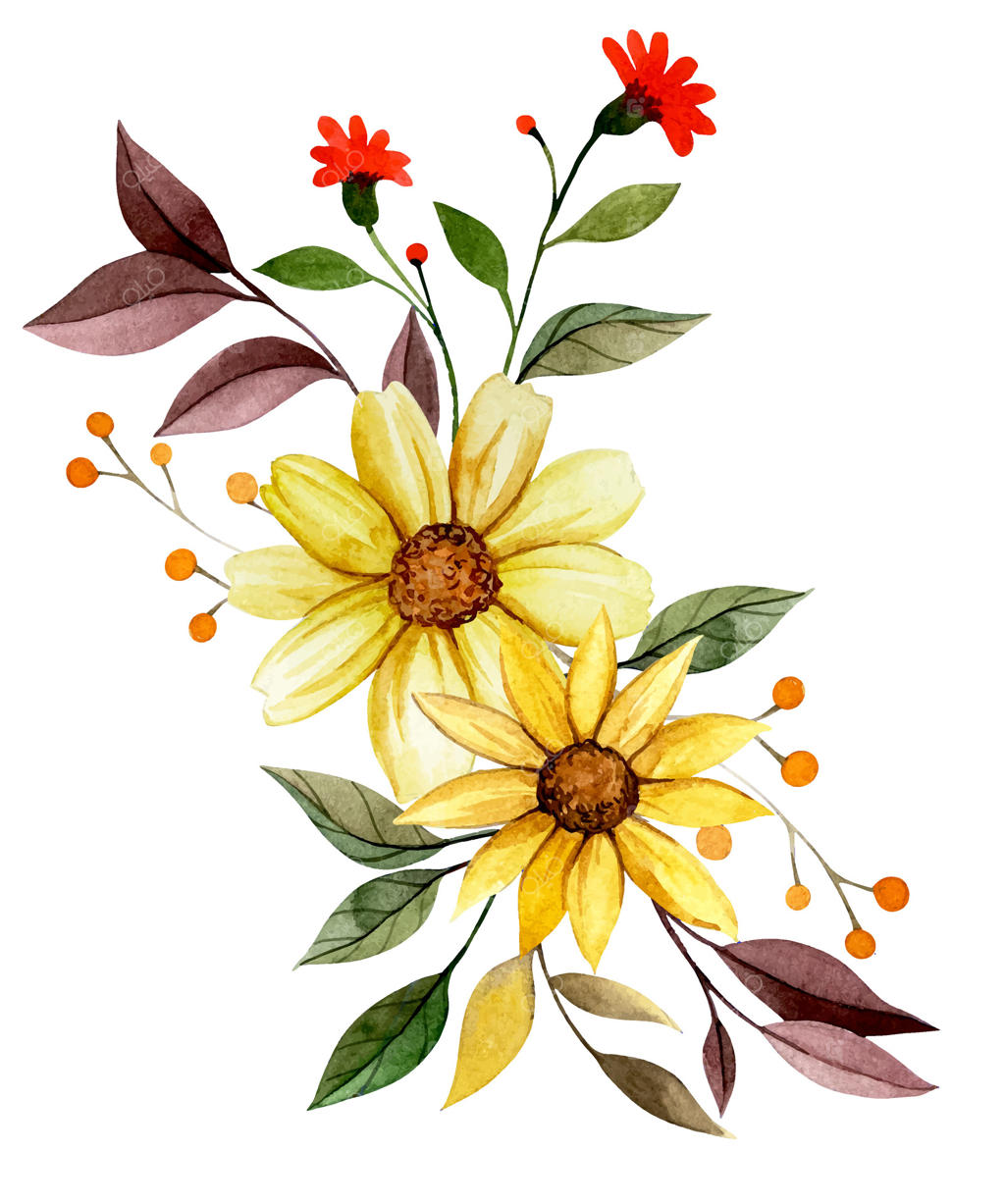 طراحی گلدار زنده با آبرنگ و آفتابگردان به صورت وکتور حرفه‌ای