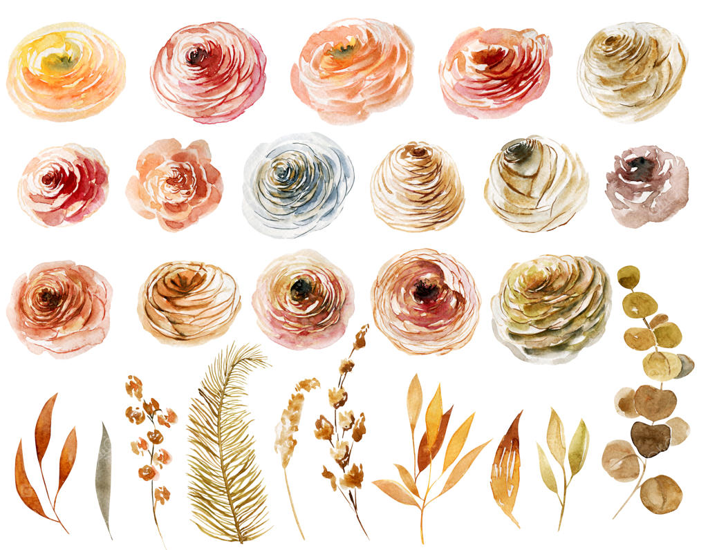 مجموعه‌ای از نقاشی‌های دست‌ساز آبرنگی گل رز و شاخه‌ها