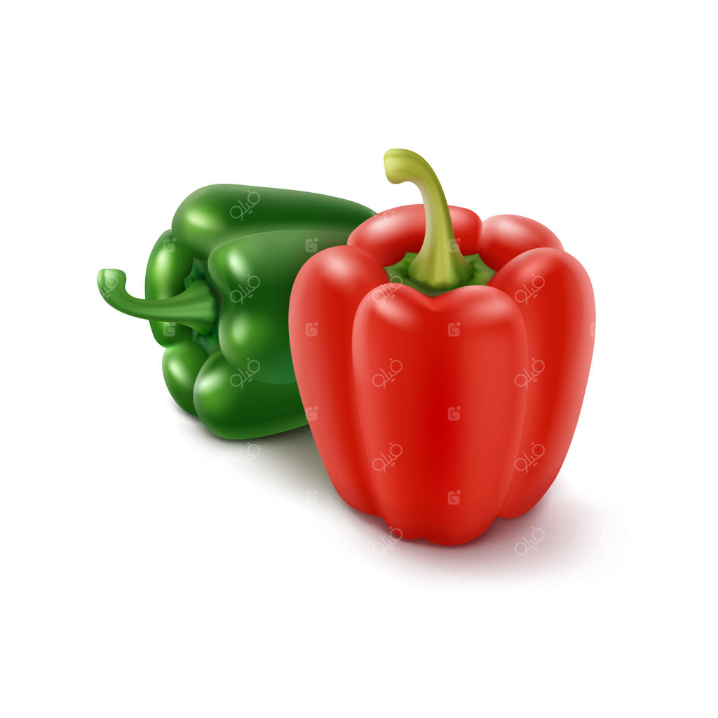 دو فلفل دلمه‌ای شیرین سبز و قرمز بلغاری