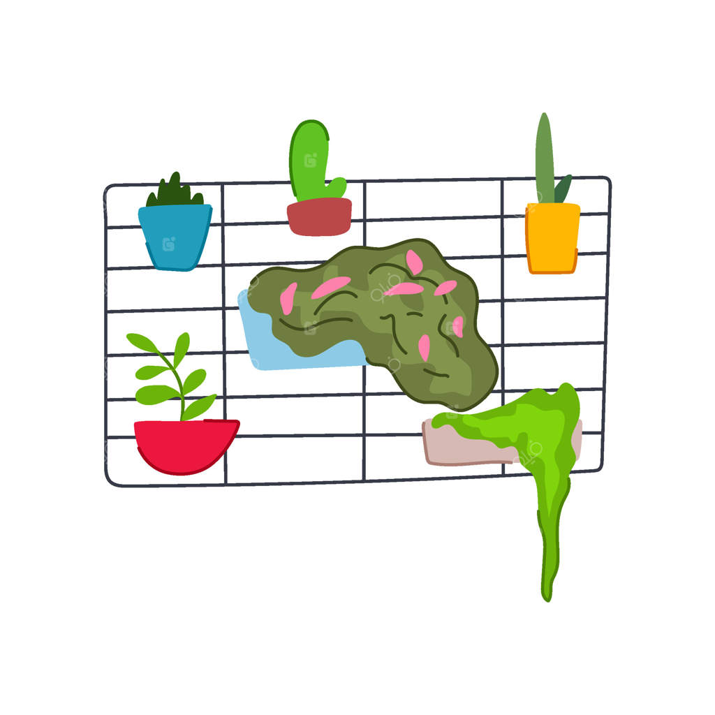 تصویر کارتونی از باغ عمودی ساکولنت‌های خانگی