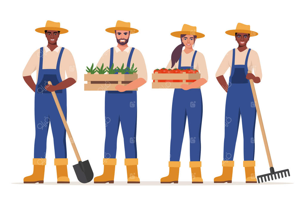 افرادی در حال کشاورزی: کشاورزان با جعبه‌های گوجه‌فرنگی و نهال‌ها، بیل و چنگک در دست. کارهای کشاورزی و باغبانی. کارگران کشاورزی، باغبان و مهندس کشاورزی. تصویر سازی.