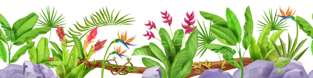 مرز بی‌پایان جنگل: برگ‌های استوایی و گل‌های بارانی