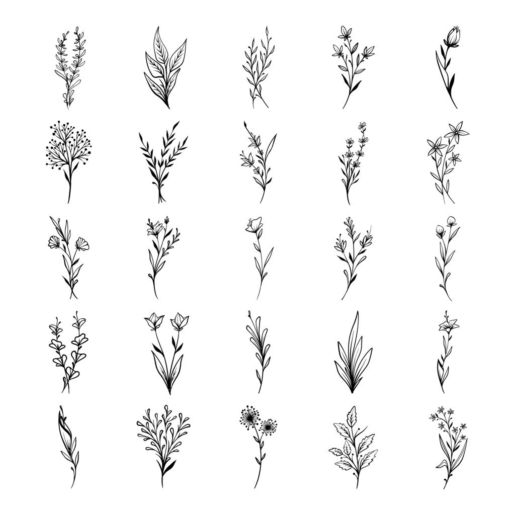 مجموعه وکتور طرح دستی گیاهان