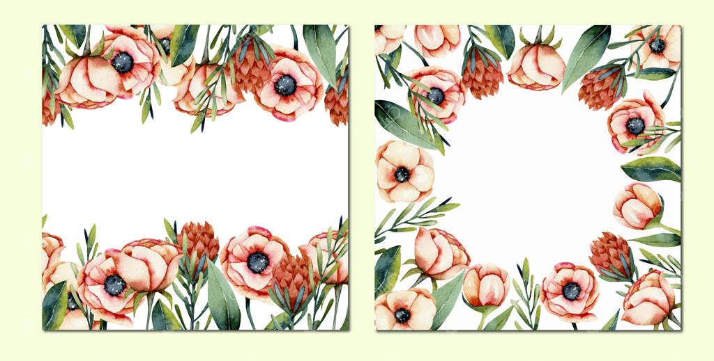 ست کارت با حاشیه‌های گل‌های آبرنگی مرجان، شقایق دریایی و پروتیا، نقاشی‌شده روی زمینه سفید