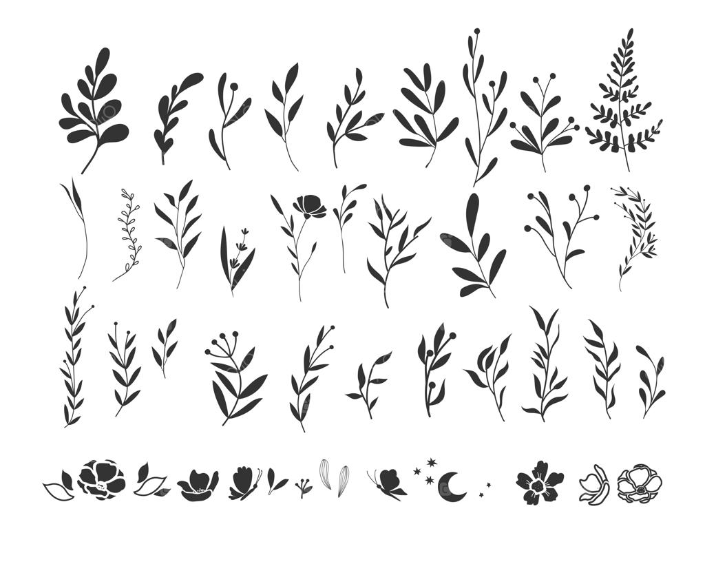 مجموعه گرافیکی شاخه‌ها و جوانه‌ها: طرح‌های دستی و سیلوئت گیاهان