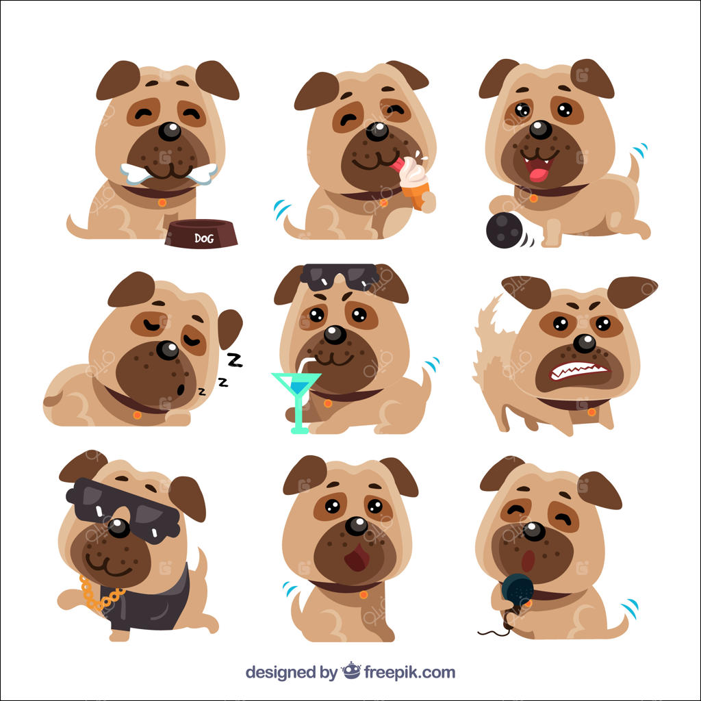 گونه‌های بامزه و متنوع پاگ‌ها