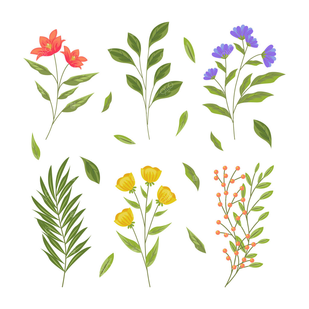 گیاهان دارویی و گل‌های وحشی به سبک رترو