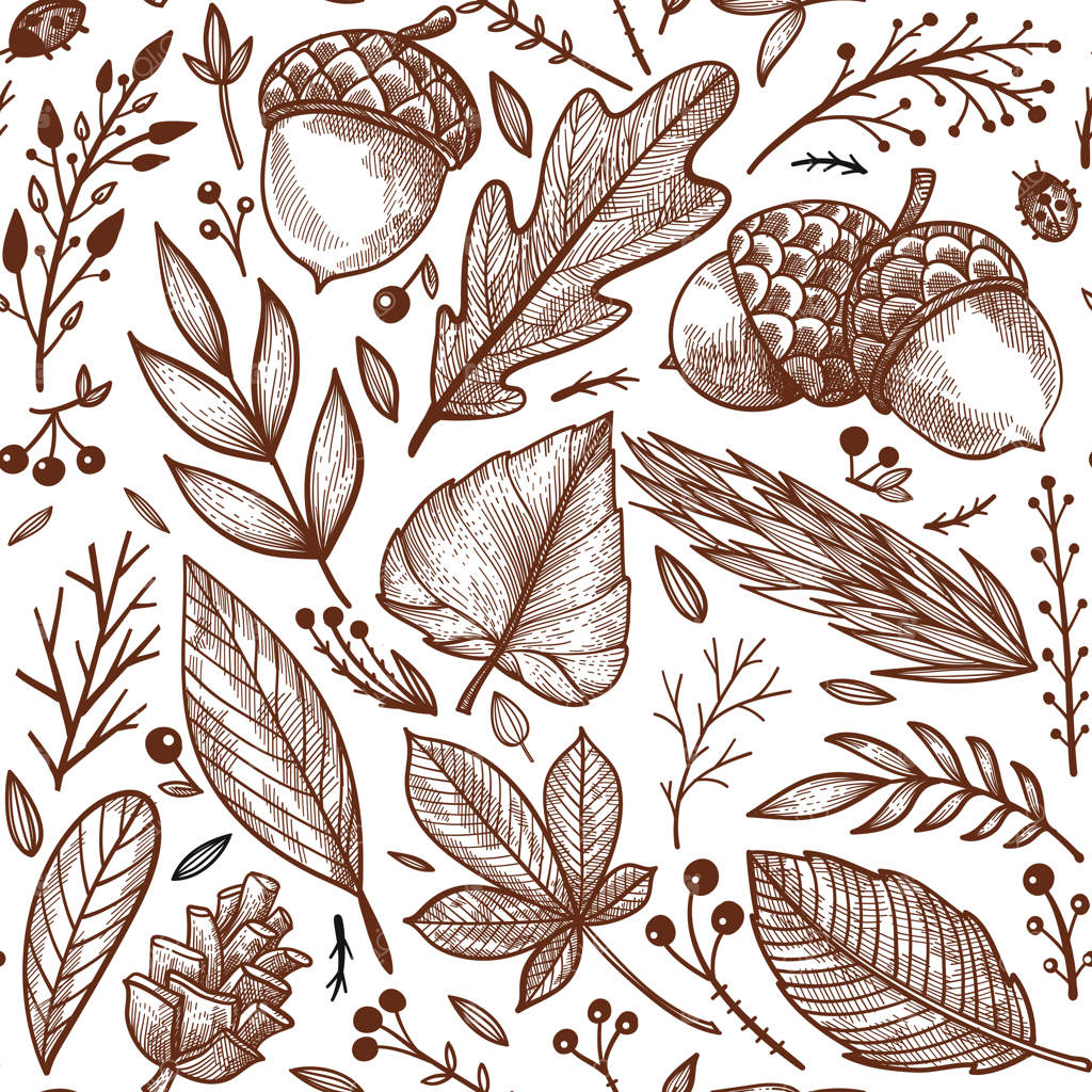 طرح پاییزی برگ‌ها و بلوط‌ها.