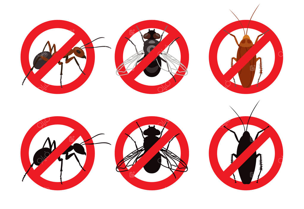 مجموعه علائم توقف در برابر حشرات - تصاویر وکتور نمادهای هشدار با تصاویر آفات. مگس، مورچه و سوسک کارتونی داخل دایره قرمز خط خورده. مفهوم بهداشت و حشره‌کش‌ها