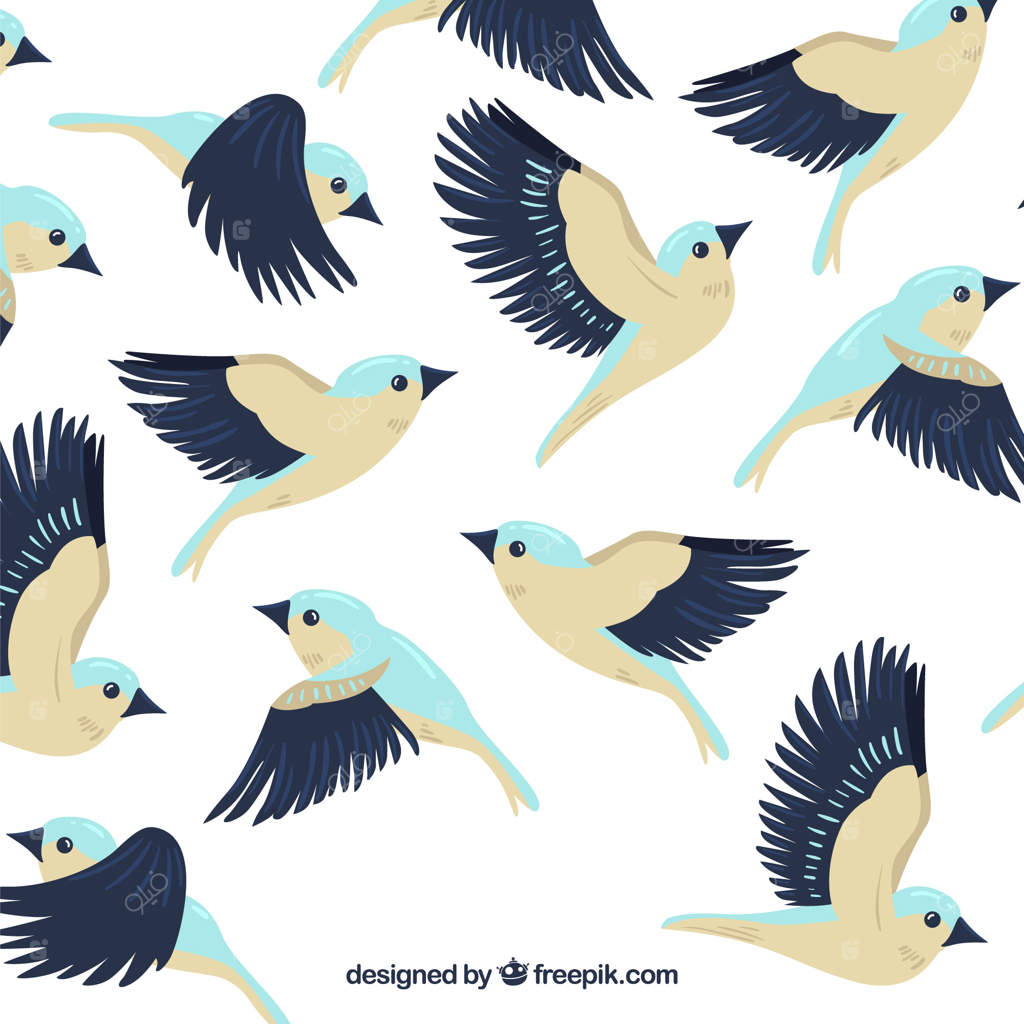 پس‌زمینه پرنده در حال پرواز