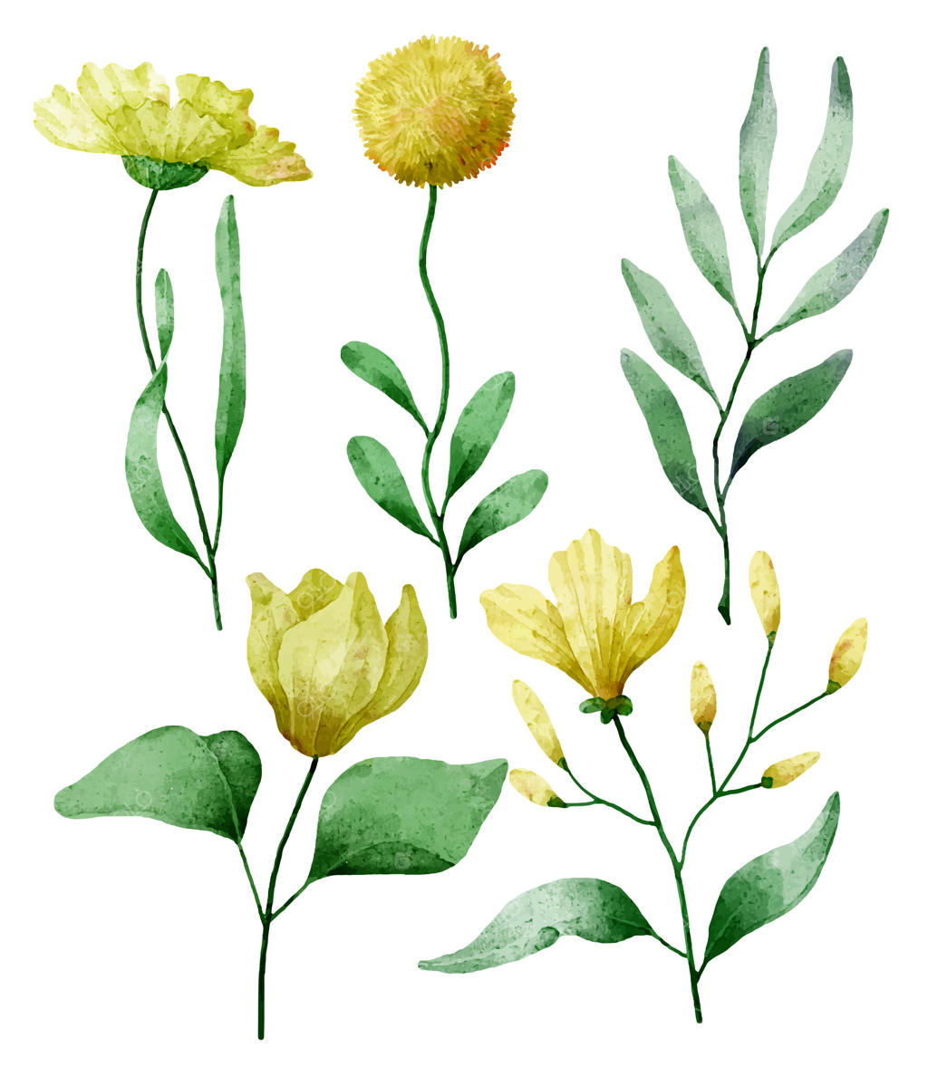 دسته گل زیبای گل‌ها و برگ‌ها برای دکور در سبک آبرنگی