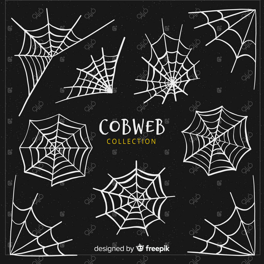 مجموعه خلاقانه تار عنکبوت هالووین