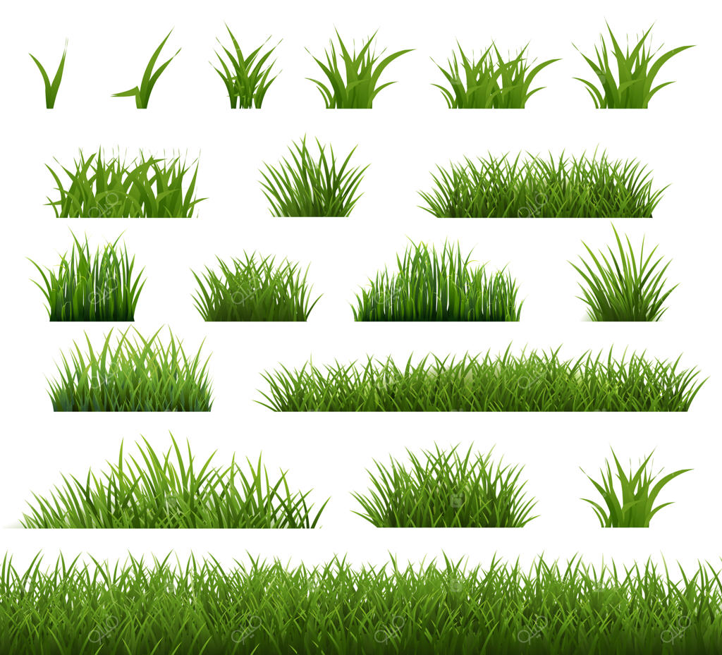 چمن سبز بهاری با پس‌زمینه شفاف