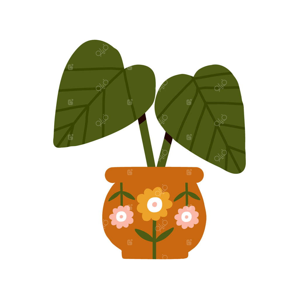 باغ، گل‌ها و گیاهان در خانه و فضای باز با برگ‌های فیلودندرون گلوریوسوم از جنگل‌های استوایی. پارچی با نقاشی دستی گل‌های گیاهی. کارت طراحی‌شده با تصاویر گیاهان در گلدان‌ها.