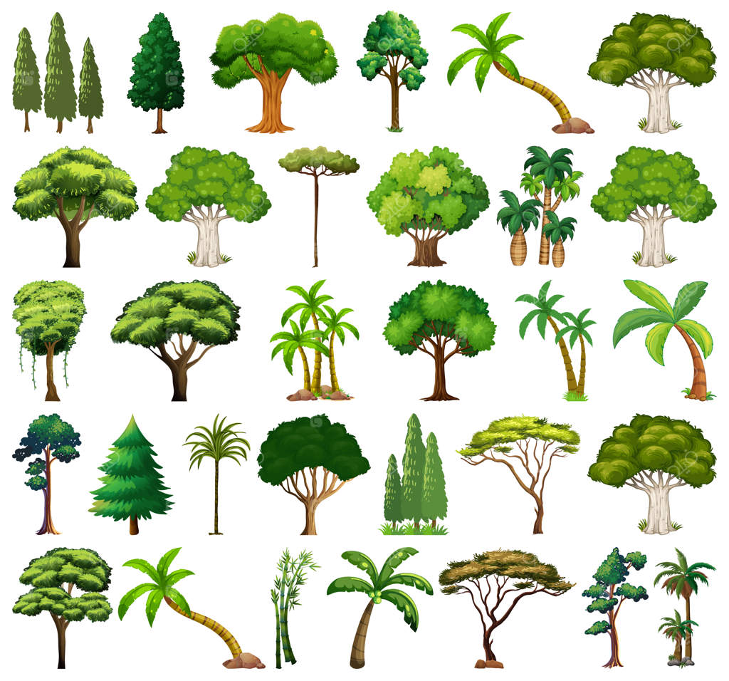 مجموعه‌ای از گیاهان و درختان متنوع
