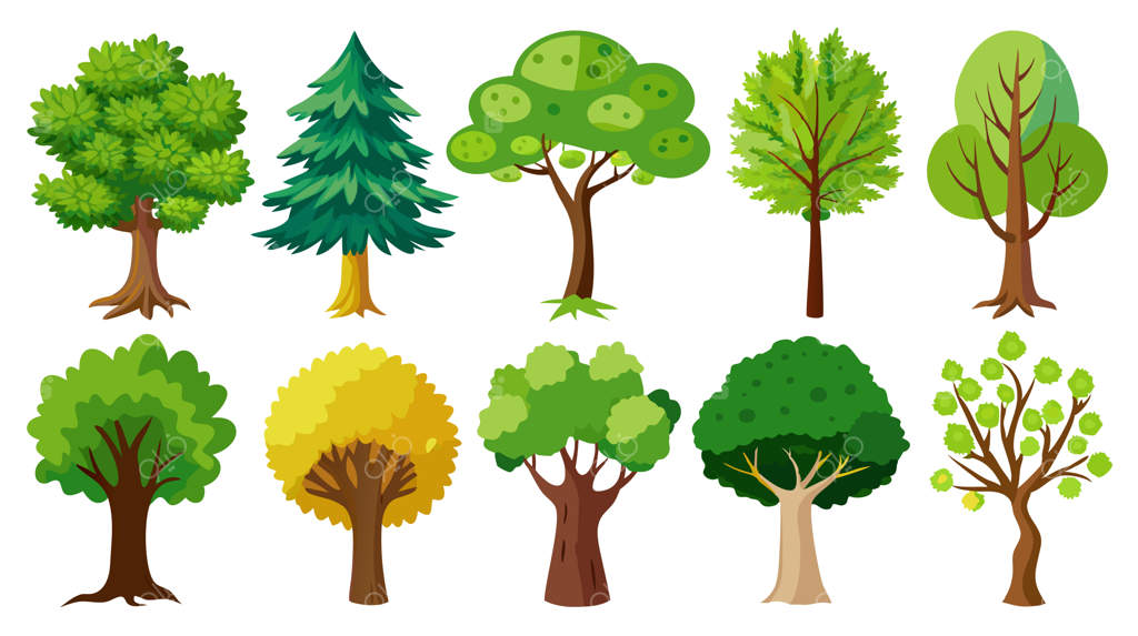 مجموعه‌ای از درختان گوناگون و واژه درختان