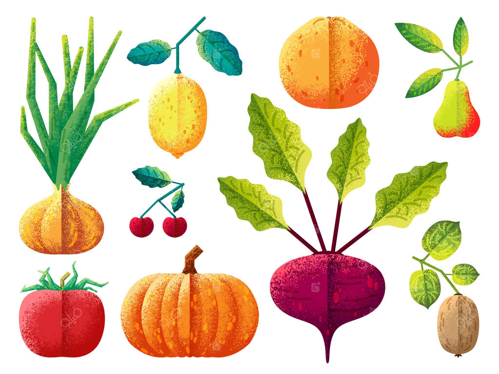 میوه‌ها و سبزیجات: برداشت محصول سالم و شیک از لیمو، گوجه‌فرنگی، پیاز و کدو حلوایی - آیکون‌های وکتور کشاورزی