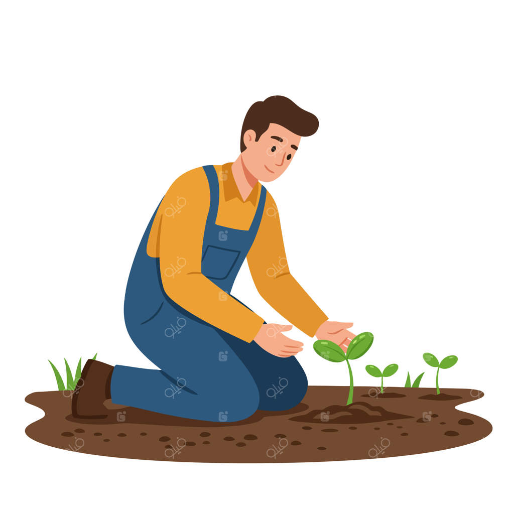 مردی با دقت و توجه نهال‌ها را در باغ می‌کارد