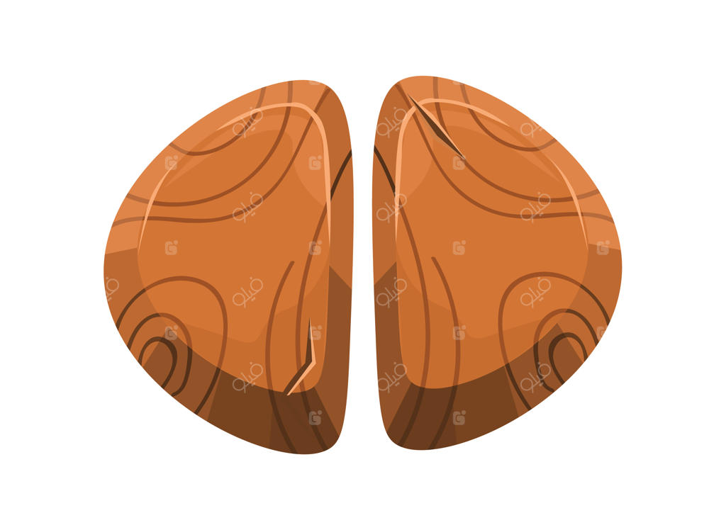 تصویر برداری از پیکان‌های چوبی به شکل مستطیل دو بعدی - پس‌زمینه سفید