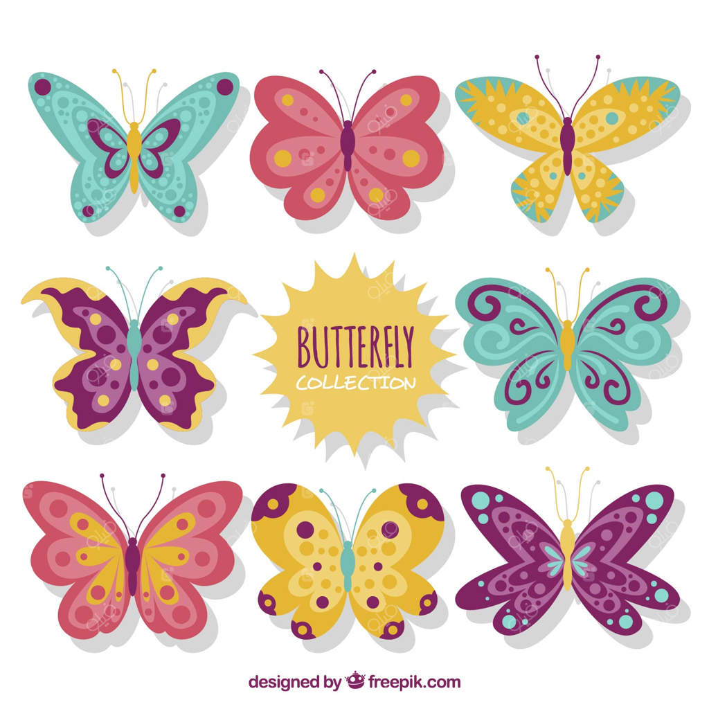 مجموعه‌ای از طراحی‌های پروانه‌های زیبا