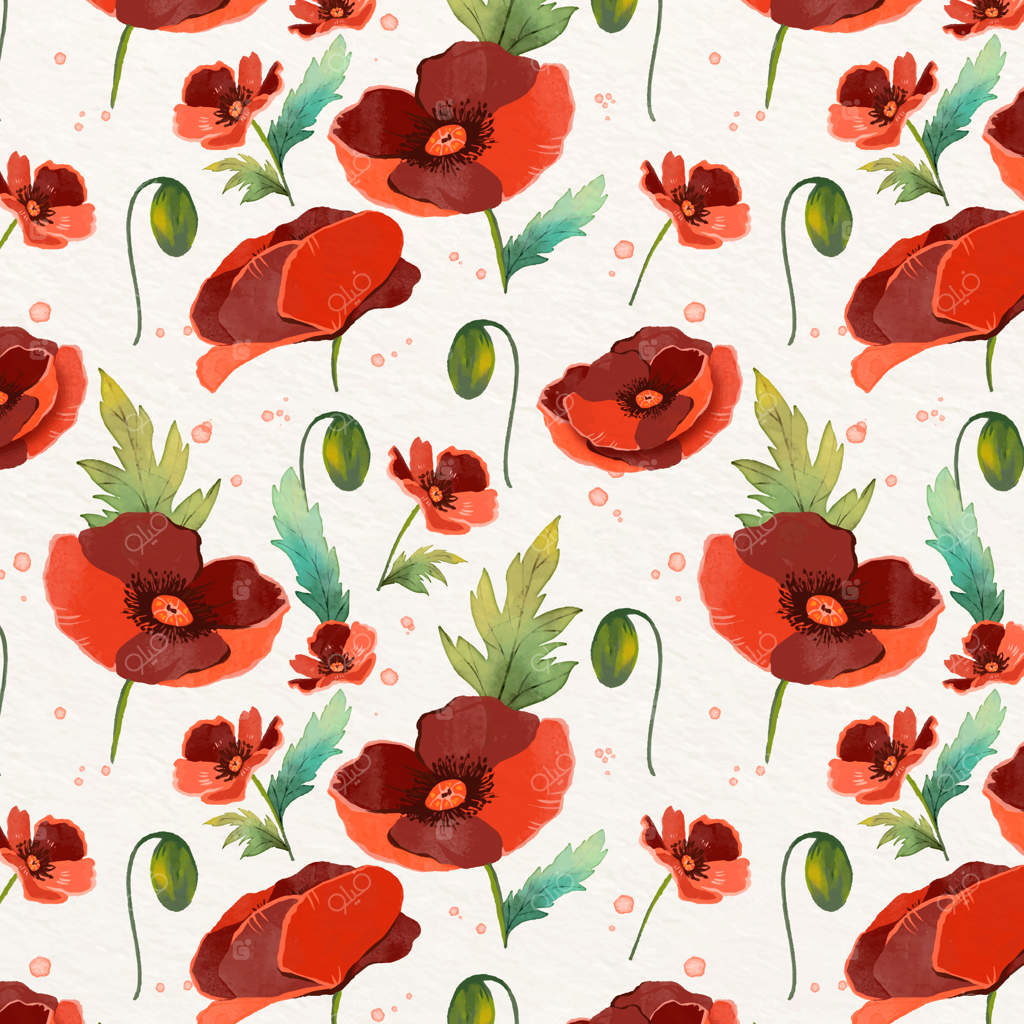 تصویرسازی گل شقایق با آبرنگ