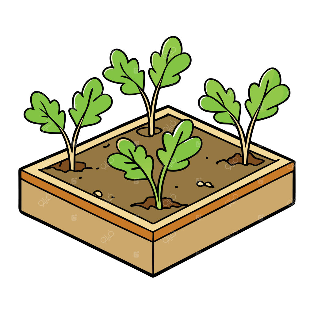 تصویری کارتونی از یک باغ سبزیجات