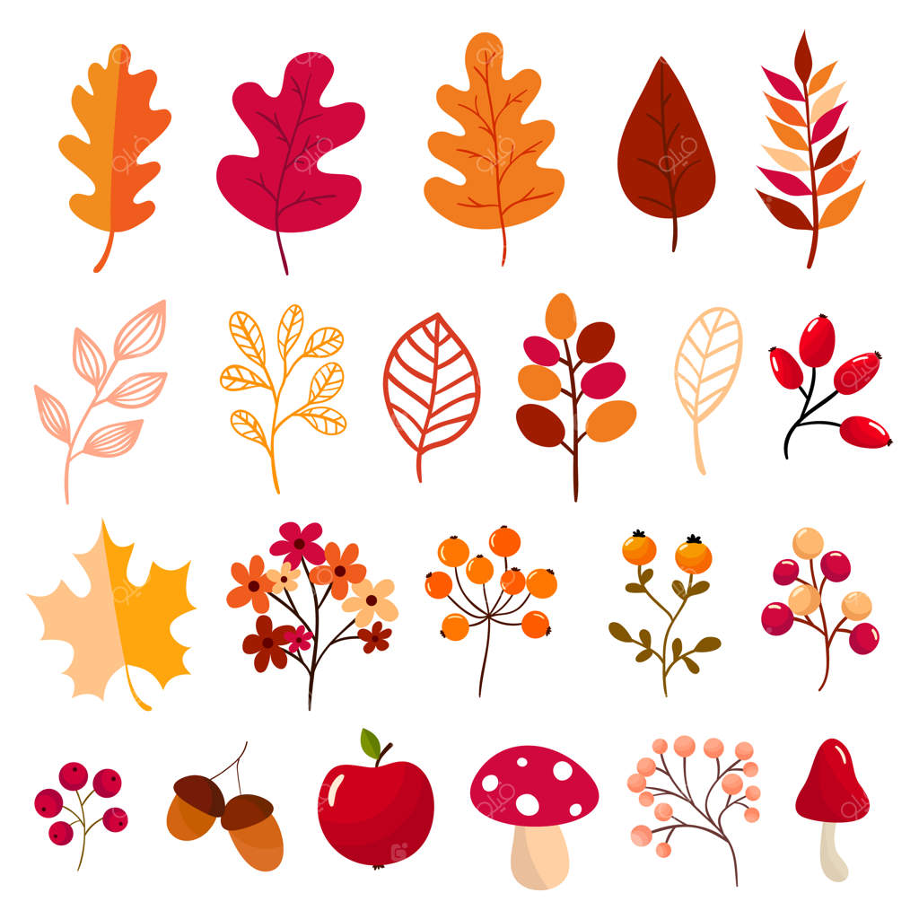 مجموعه‌ای از عناصر پاییزی