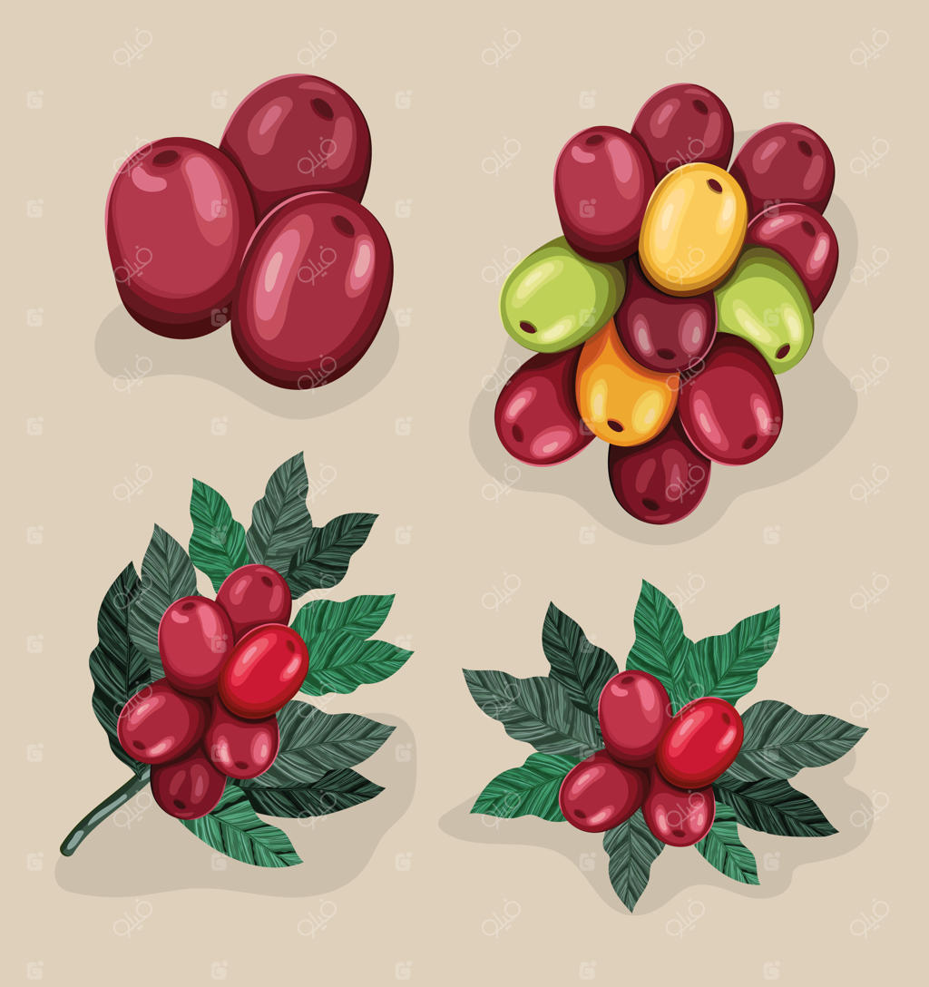 چهار محصول از دانه‌های قهوه