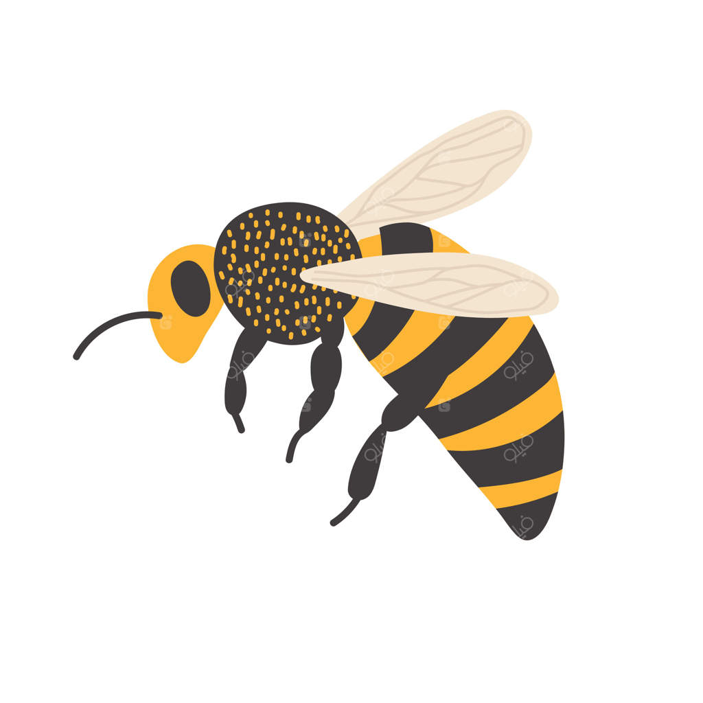 پرواز زنبور در باغی پر از گل‌ها در یک بعدازظهر آفتابی