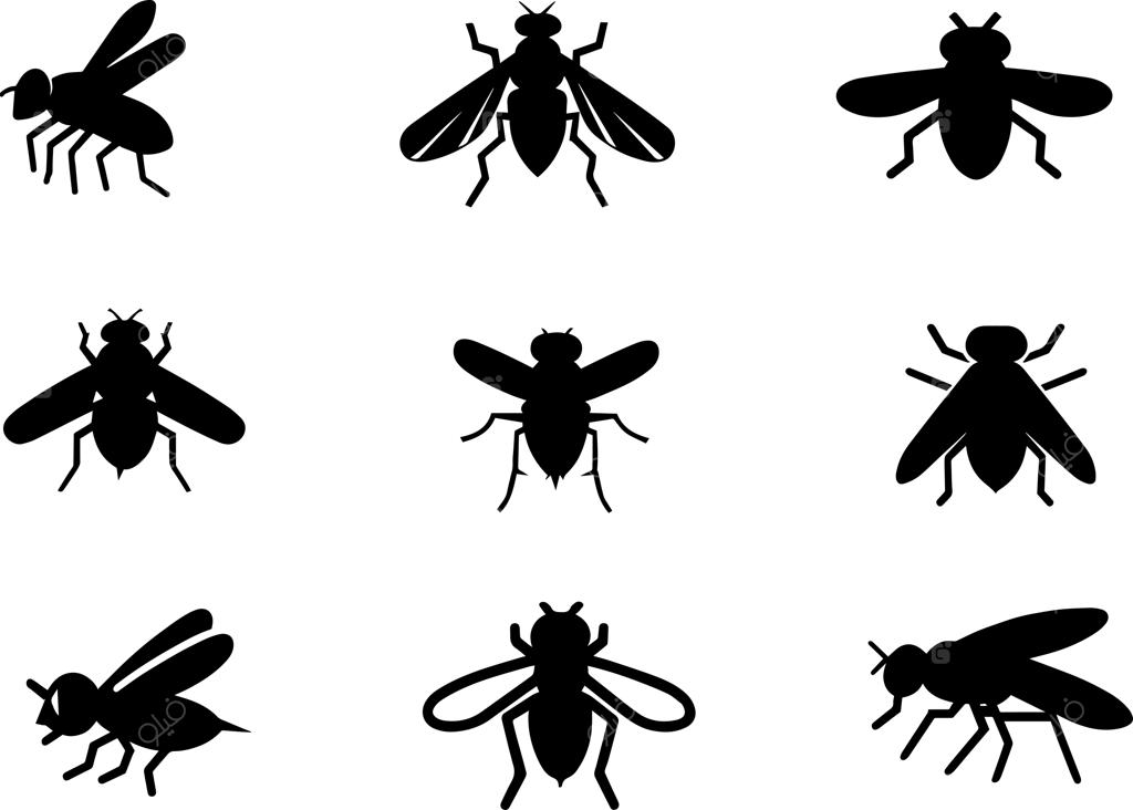 تصویرسازی وکتور سیلوئت مگس با رنگ مشکی ۴