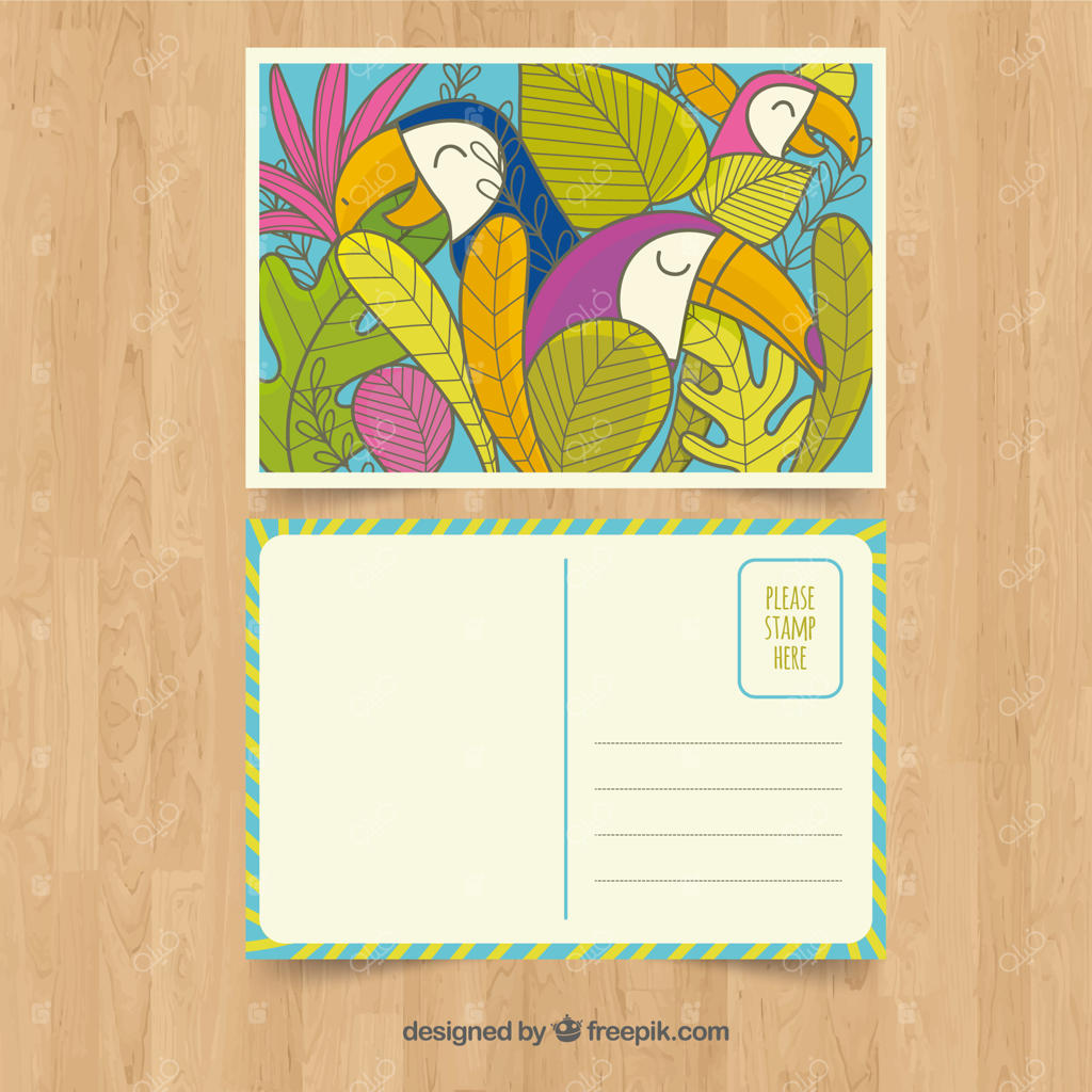قالب کارت تابستانی دستی با پرندگان استوایی