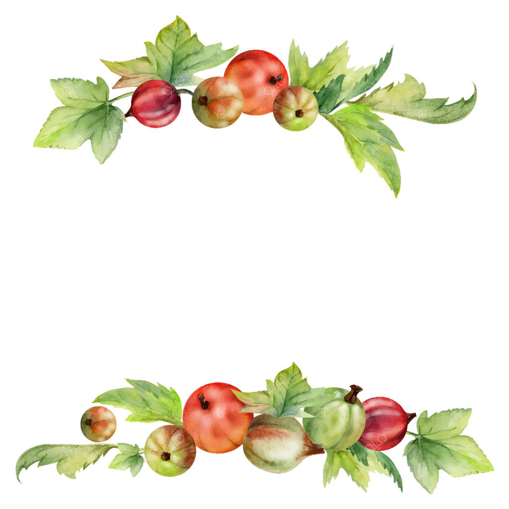 برگ‌های انگور فرنگی و مویز، توت‌های رسیده باغچه شامل توت سیاه، امارانت، و انگور فرنگی سیاه. قاب بنری جداگانه با آبرنگ. فروشگاه مواد غذایی وگان، کتاب آشپزی، غذای ارگانیک تازه و سبز.