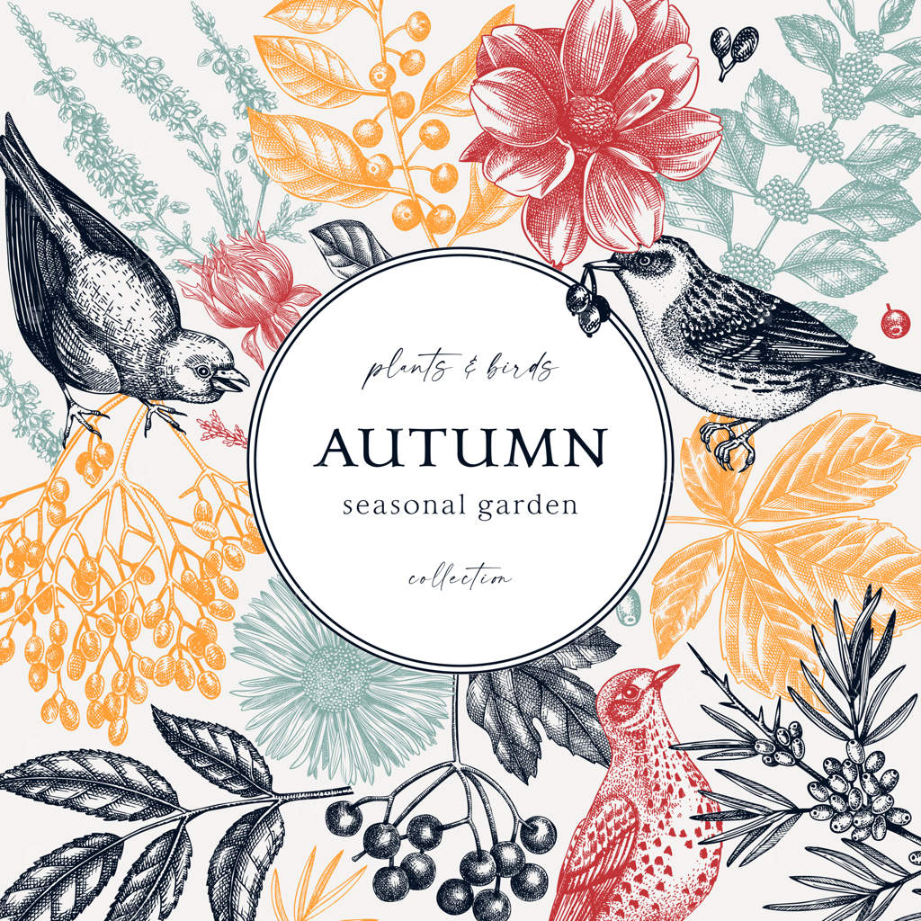 طرح قاب پاییزی دست‌کشی با رنگ‌های مد روز و طرح گیاهی