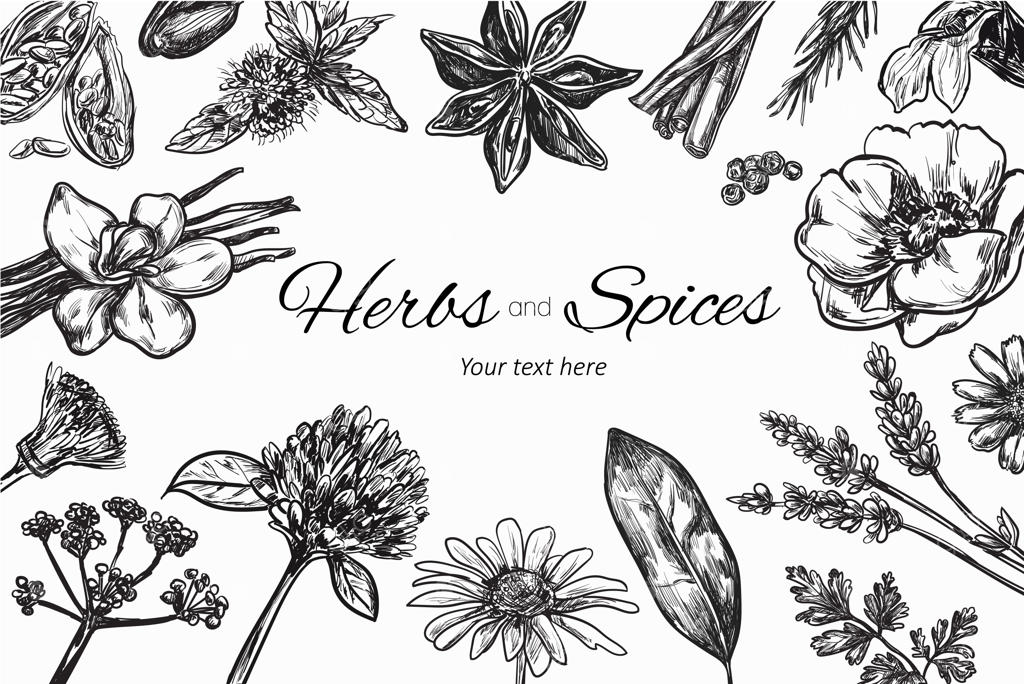 مجموعه‌ای از گیاهان و ادویه‌ها