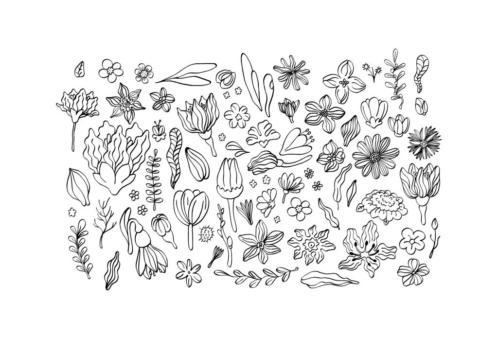 مجموعه طراحی دست آزاد از گل‌ها و گیاهان. طرح گل و گیاهی.