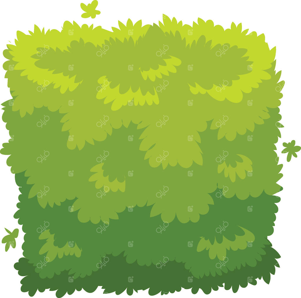 شاخ و برگ سبز پرطراوت، زیبایی باغ‌ها و پارک‌ها را افزایش داده و به ایجاد فضایی طبیعی و دلپذیر کمک می‌کند، همچنین حریم خصوصی و جذابیت بصری را تامین می‌کند.