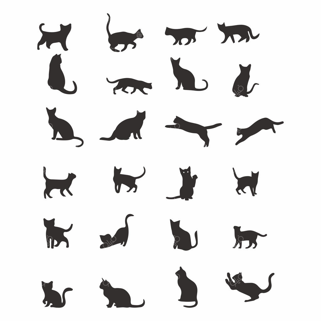 سیلوئت گربه
