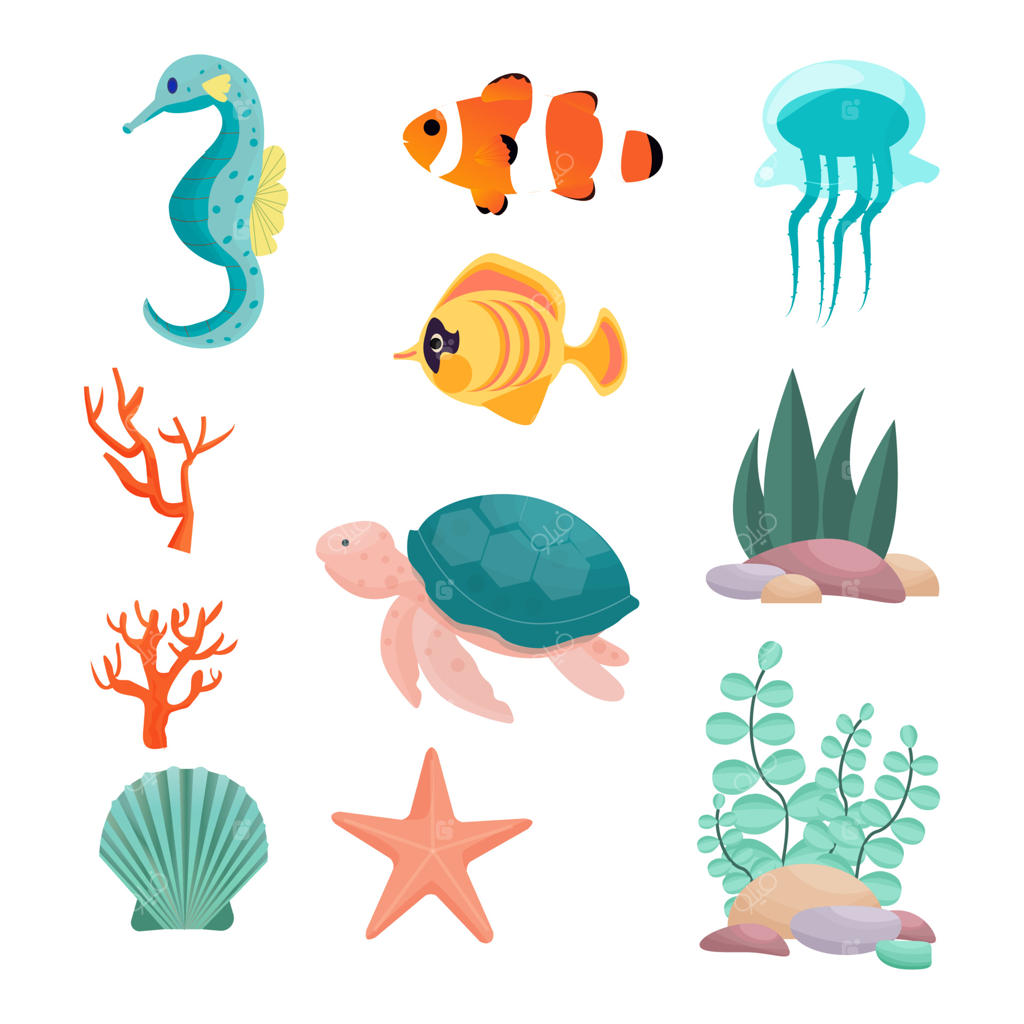 مجموعه‌ای از اسب دریایی، لاک‌پشت، ماهی‌های زینتی، دلقک ماهی، عروس دریایی، ستاره دریایی، صدف، مرجان‌ها و گیاهان زیر آب در طراحی وکتور. اشیاء جداگانه بر روی زمینه سفید.