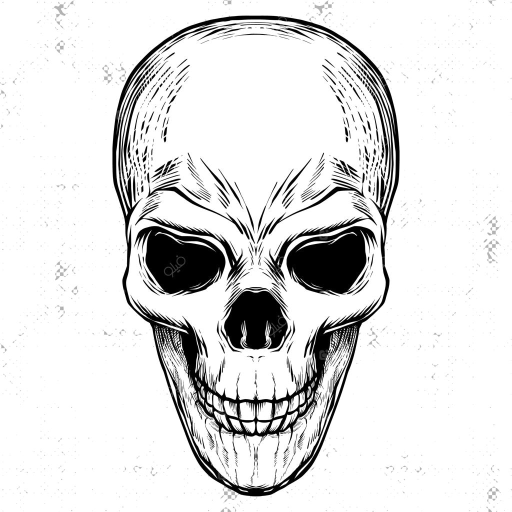 تصویرسازی لینوکات و حکاکی سیاه و سفید جمجمه