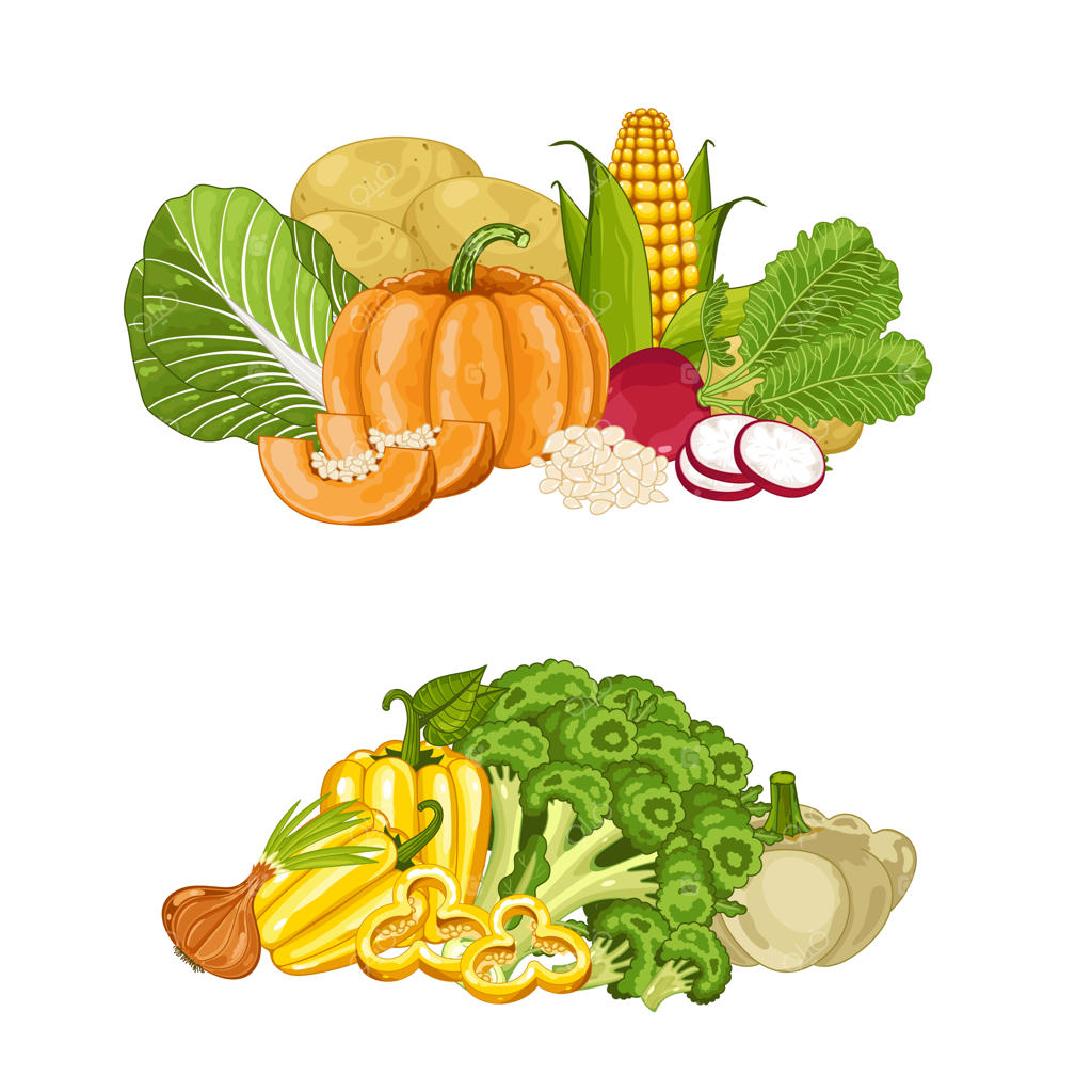 مجموعه ای از سبزیجات تازه و ارگانیک