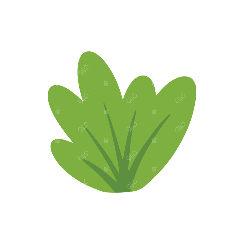 تصویر تزئین عناصر طبیعی با گیاه برگ‌های صاف برای پارک و باغ