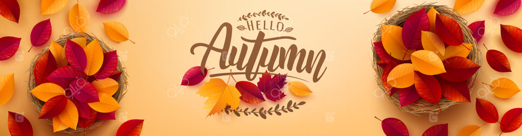 قالب پوستر و بنر پاییزی: نمای بالا از سبدی با برگ‌های رنگارنگ پاییزی روی زمینه زرد. تبریکات و هدایای ویژه فصل پاییز. قالب تبلیغاتی برای مفهوم پاییز یا خزانی