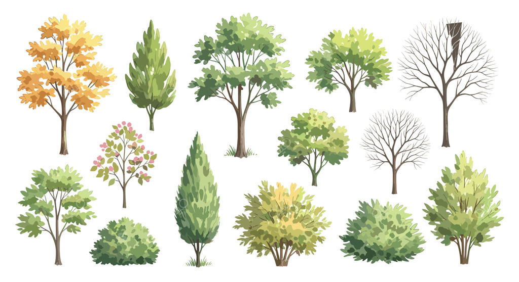 مجموعه درختان و درختچه‌های برگ‌ریز، همیشه‌سبز، پاییزی و بدون برگ؛ ایده‌آل برای تصویرسازی منظره و معماری