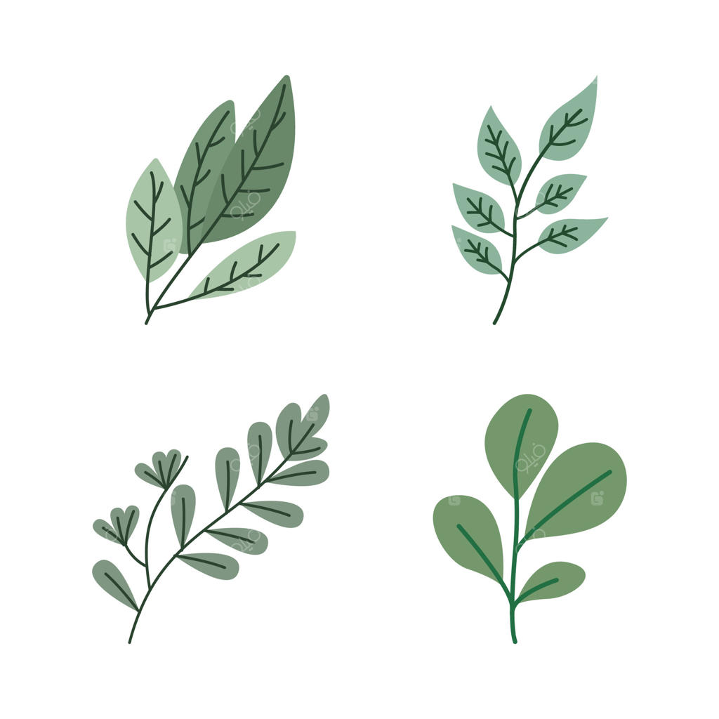 مجموعه ای از برگ های سبز تازه و طبیعی گیاهان در باغچه