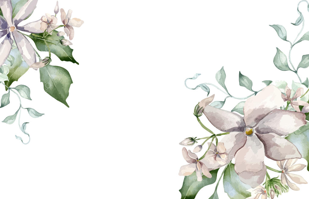 گل‌های یاسمین در حاشیه آبرنگی: شکوفه‌های سفید ملایم در سبک گیاهی، طراحی شده برای برچسب، بسته‌بندی و دعوتنامه.