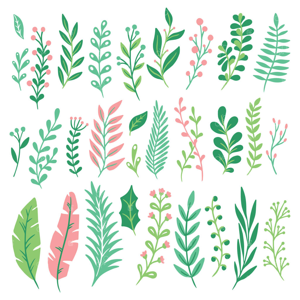 تزئین برگ‌ها: مجموعه‌ای از برگ‌های سبز، سرخس‌ها و برگ‌های گیاهی به همراه طراحی طبیعی گیاهان و سرخس‌ها
