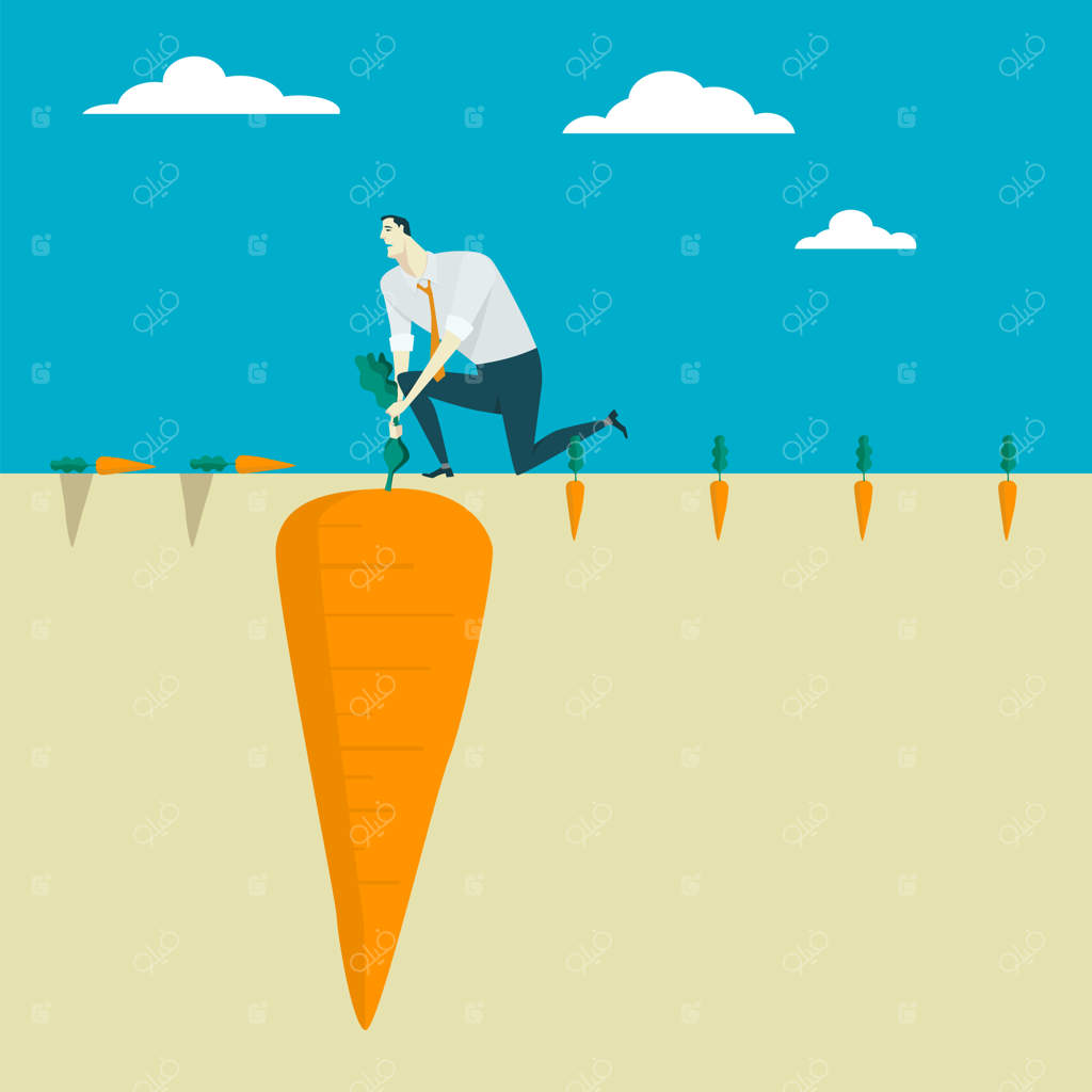 مردی که هویج تازه از باغچه سبزیجات خود می‌کَند.