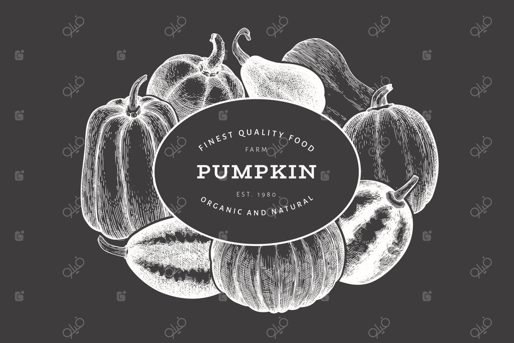 طرح‌های کدو حلوایی: وکتورهای طراحی دستی بر روی تخته سیاه برای روز شکرگزاری به سبک قدیمی با پس‌زمینه برداشت پاییزی کدو حلوایی