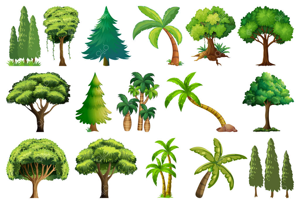 مجموعه‌ای از گیاهان و درختان متنوع